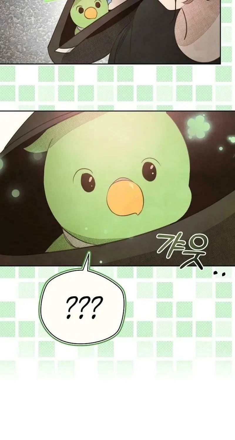 S-Class Spirit Master's Taming Diary Chapter 8 page 34 - 