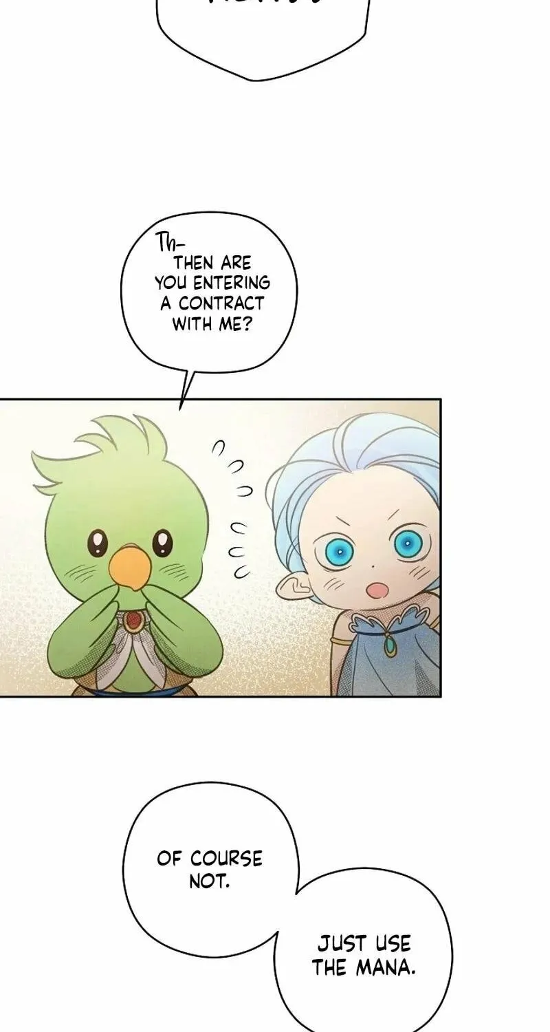 S-Class Spirit Master's Taming Diary Chapter 8 page 40 - 