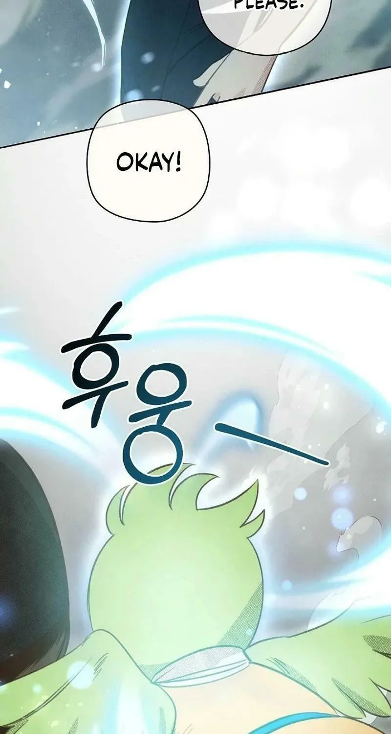 S-Class Spirit Master's Taming Diary Chapter 8 page 45 - 