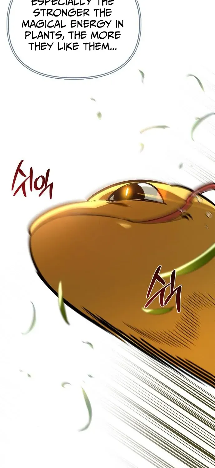 S-Rank Hunter Who Heals with Monsters Chapter 12 page 65 - 