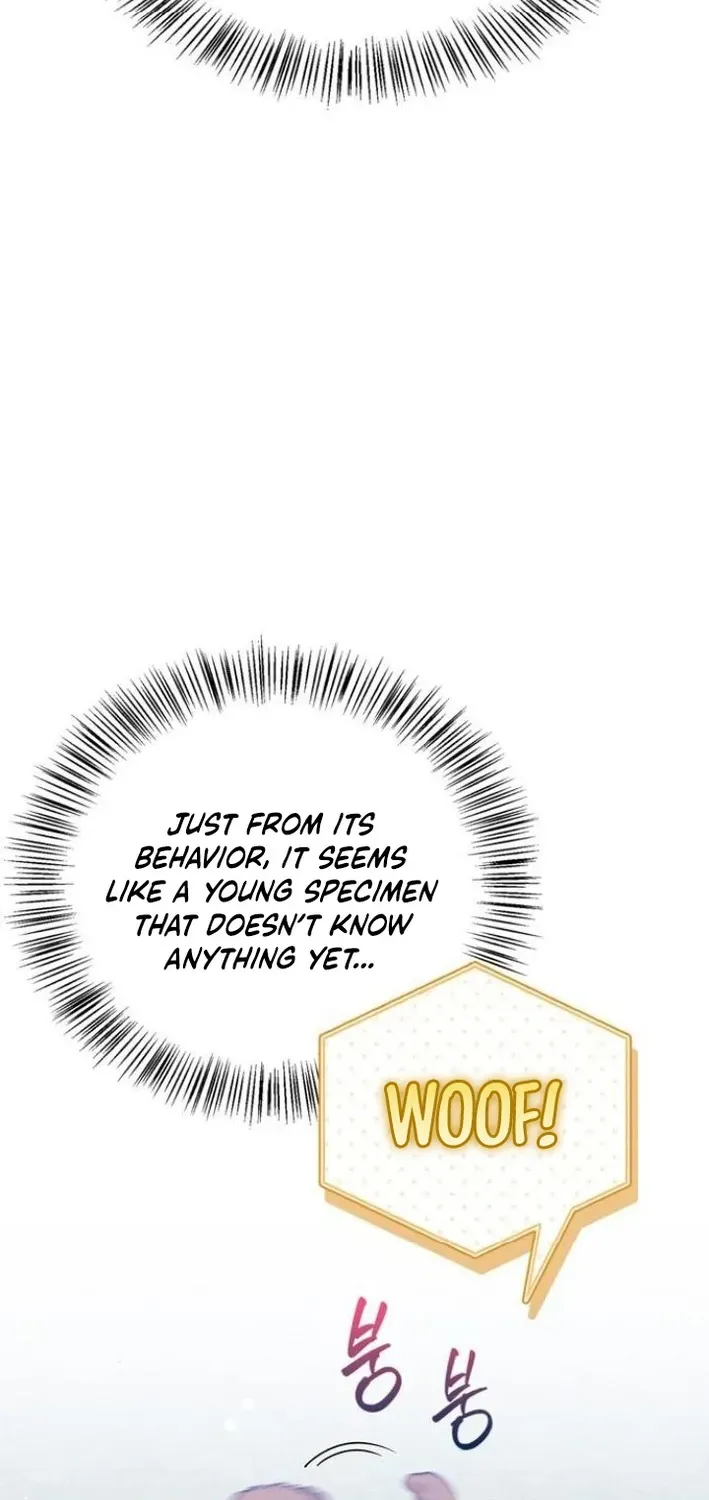 S-Rank Hunter Who Heals with Monsters Chapter 4 page 92 - 