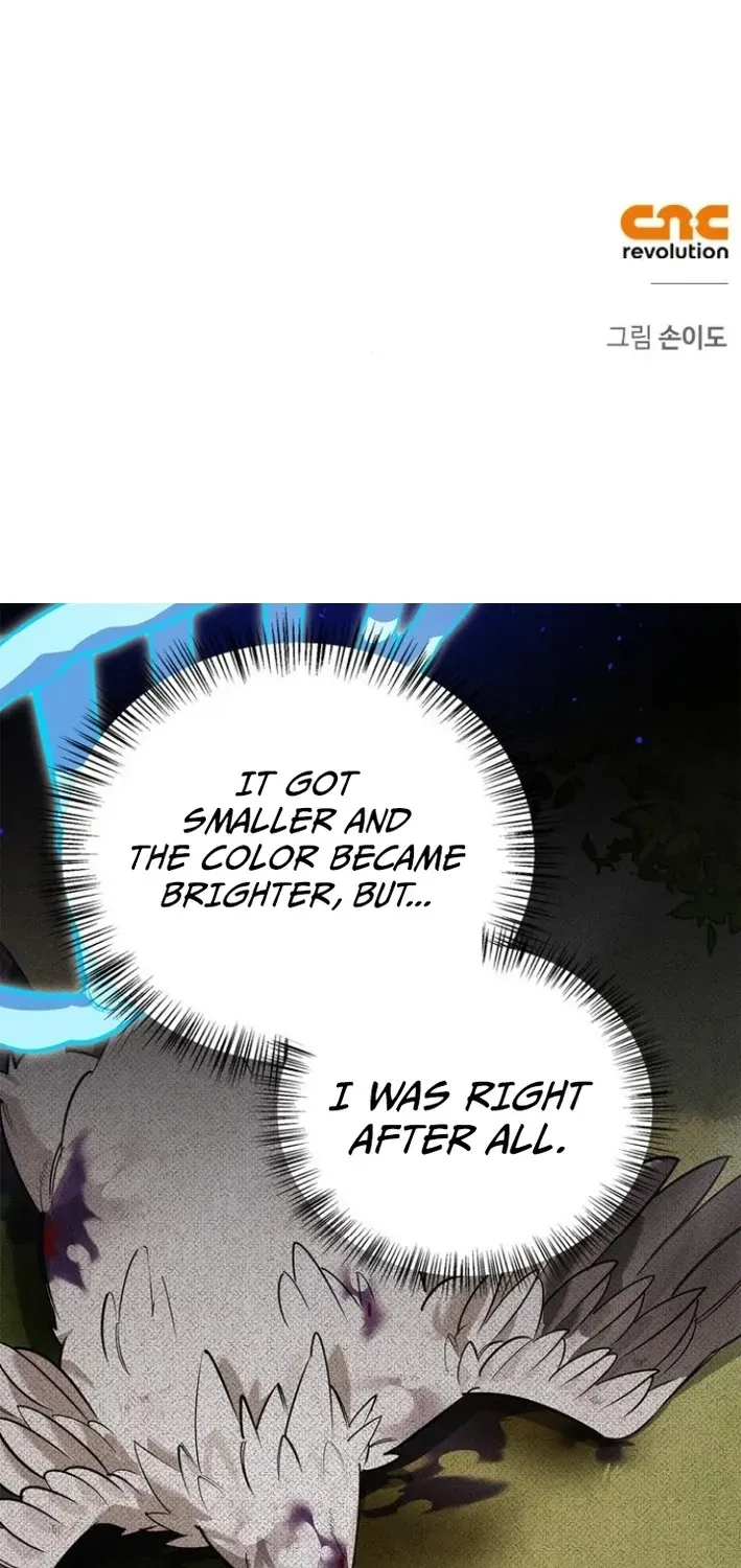 S-Rank Hunter Who Heals with Monsters Chapter 6 page 3 - 