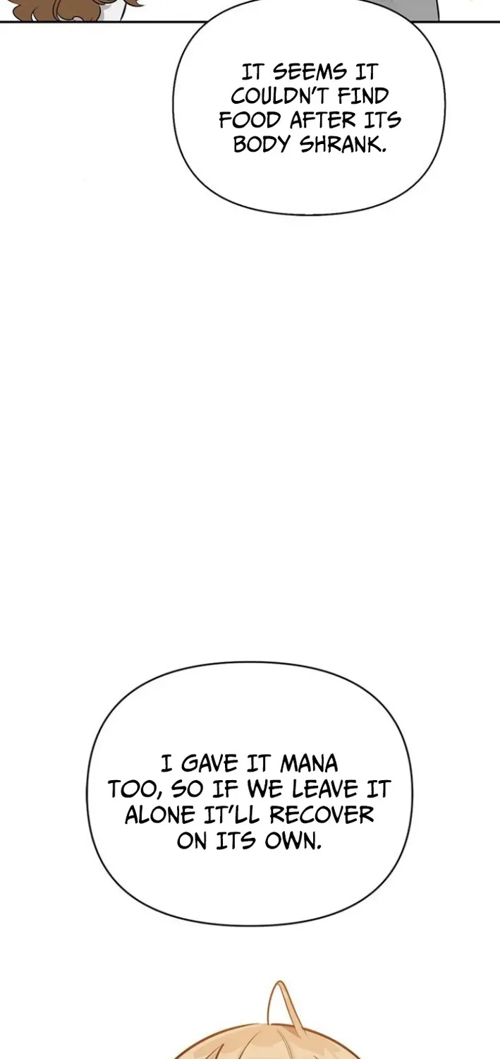 S-Rank Hunter Who Heals with Monsters Chapter 6 page 8 - 