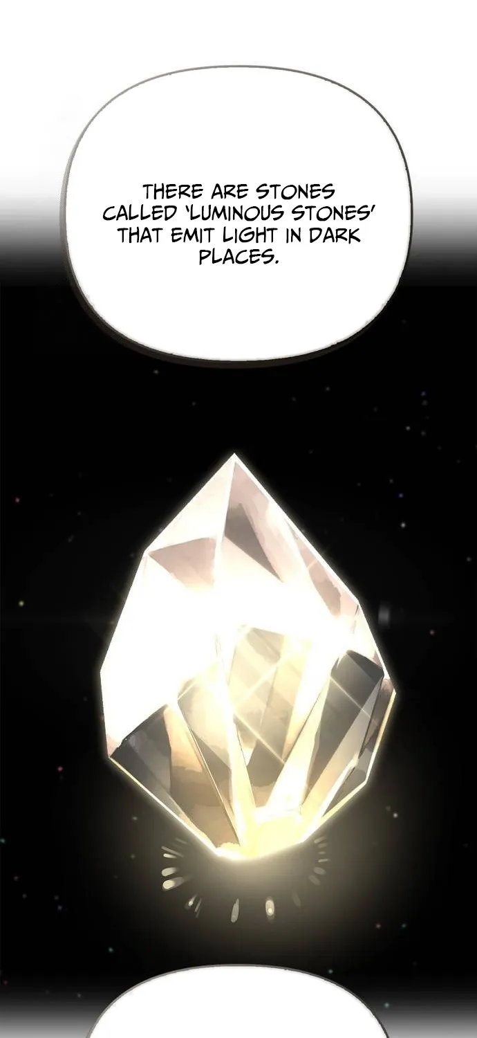 S-Rank Hunter Who Heals with Monsters Chapter 8 page 88 - 