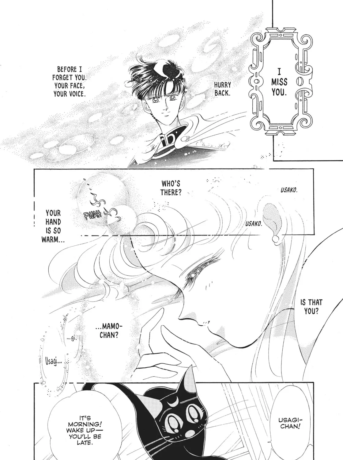 Sailor Moon Eternal Edition Chapter 11 page 3 - 