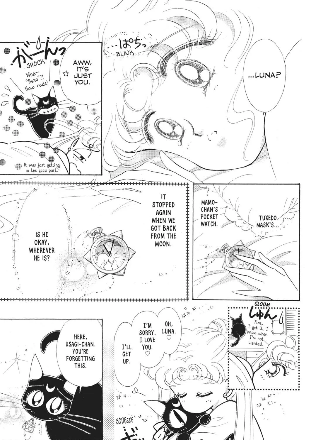 Sailor Moon Eternal Edition Chapter 11 page 5 - 