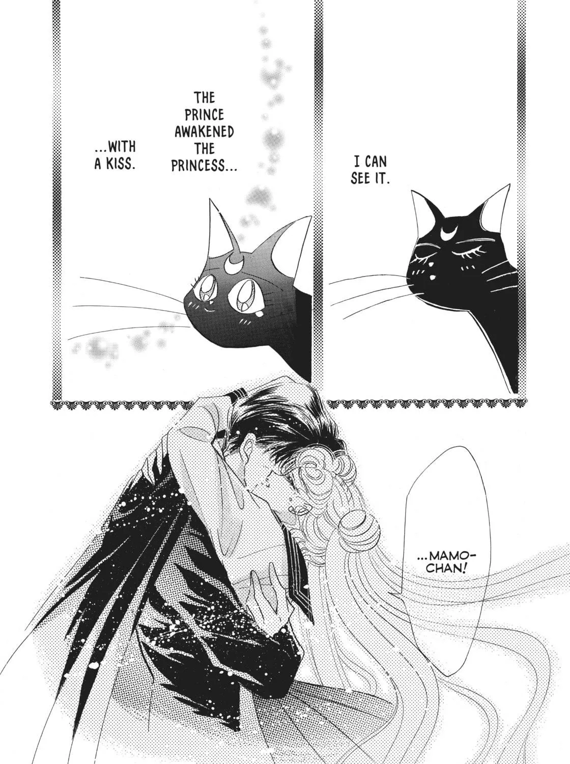 Sailor Moon Eternal Edition Chapter 14 page 41 - 