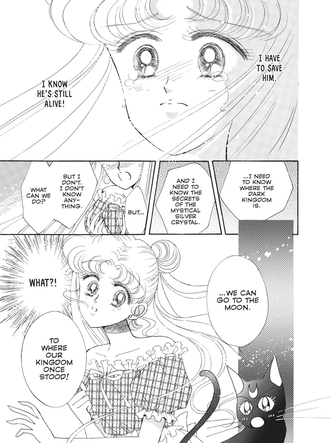 Sailor Moon Eternal Edition Chapter 9 page 85 - 