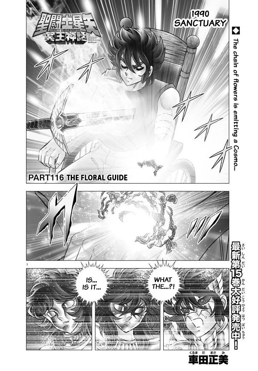 Saint Seiya - Next Dimension Chapter 116 page 1 - 