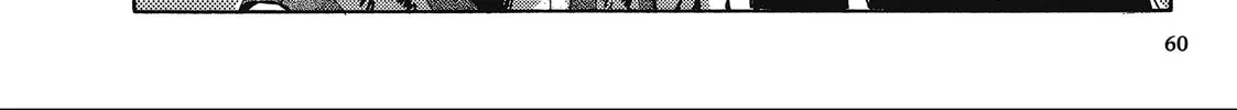 Saiyuki Chapter 25 page 46 - 