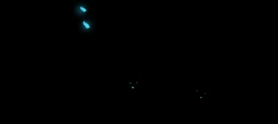Salvos (A Monster Evolution LitRPG) Chapter 37 page 98 - 