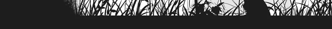Sanctify: Lost Paradise Chapter 1 page 4 - 