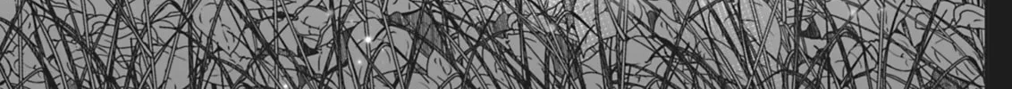 Sanctify Chapter 14 page 32 - 