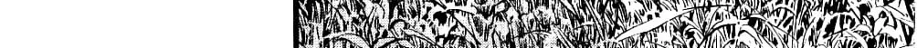 Sanctuary Chapter 104 page 38 - 