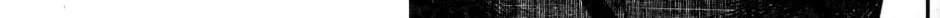 Sanctuary Chapter 34 page 13 - 