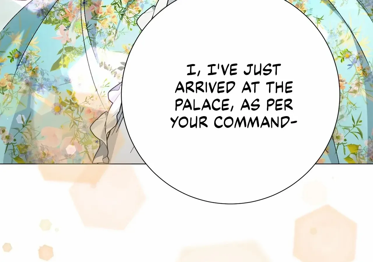 Savage Castle Chapter 55 page 258 - 