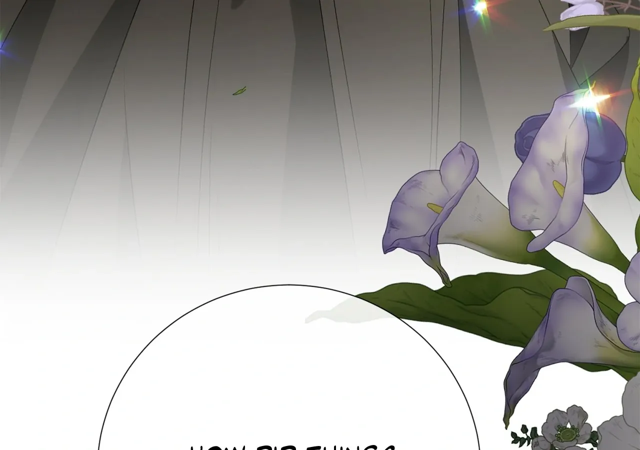 Savage Castle Chapter 64 page 62 - 