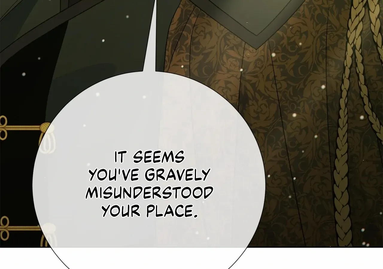Savage Castle Chapter 65 page 242 - 