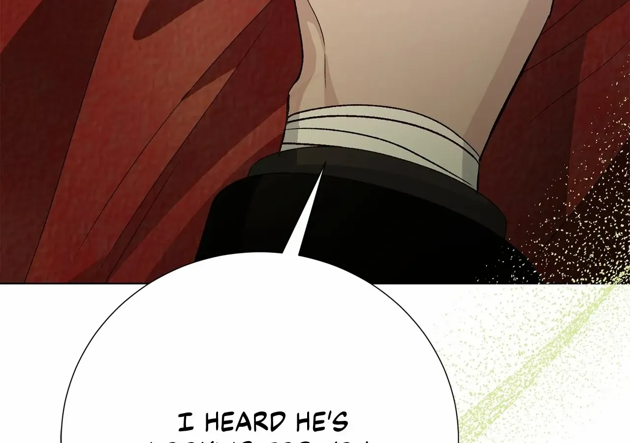 Savage Castle Chapter 65 page 62 - 