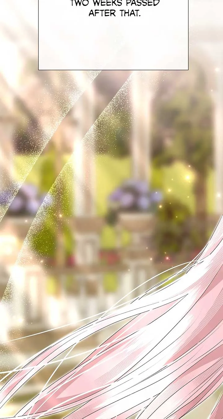 Savage Castle Chapter 72 page 75 - 