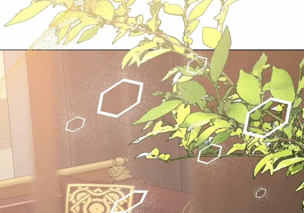 Savage Castle Chapter 81 page 164 - 