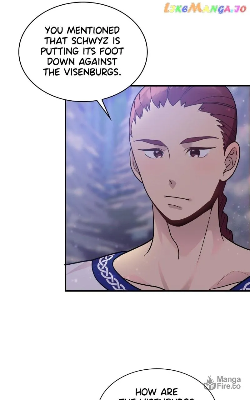 Saving a Mercenary Unit from Bankruptcy Chapter 41 page 27 - 