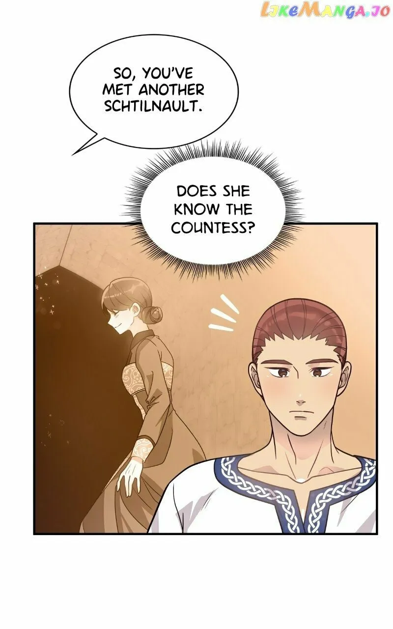Saving a Mercenary Unit from Bankruptcy Chapter 43 page 43 - 