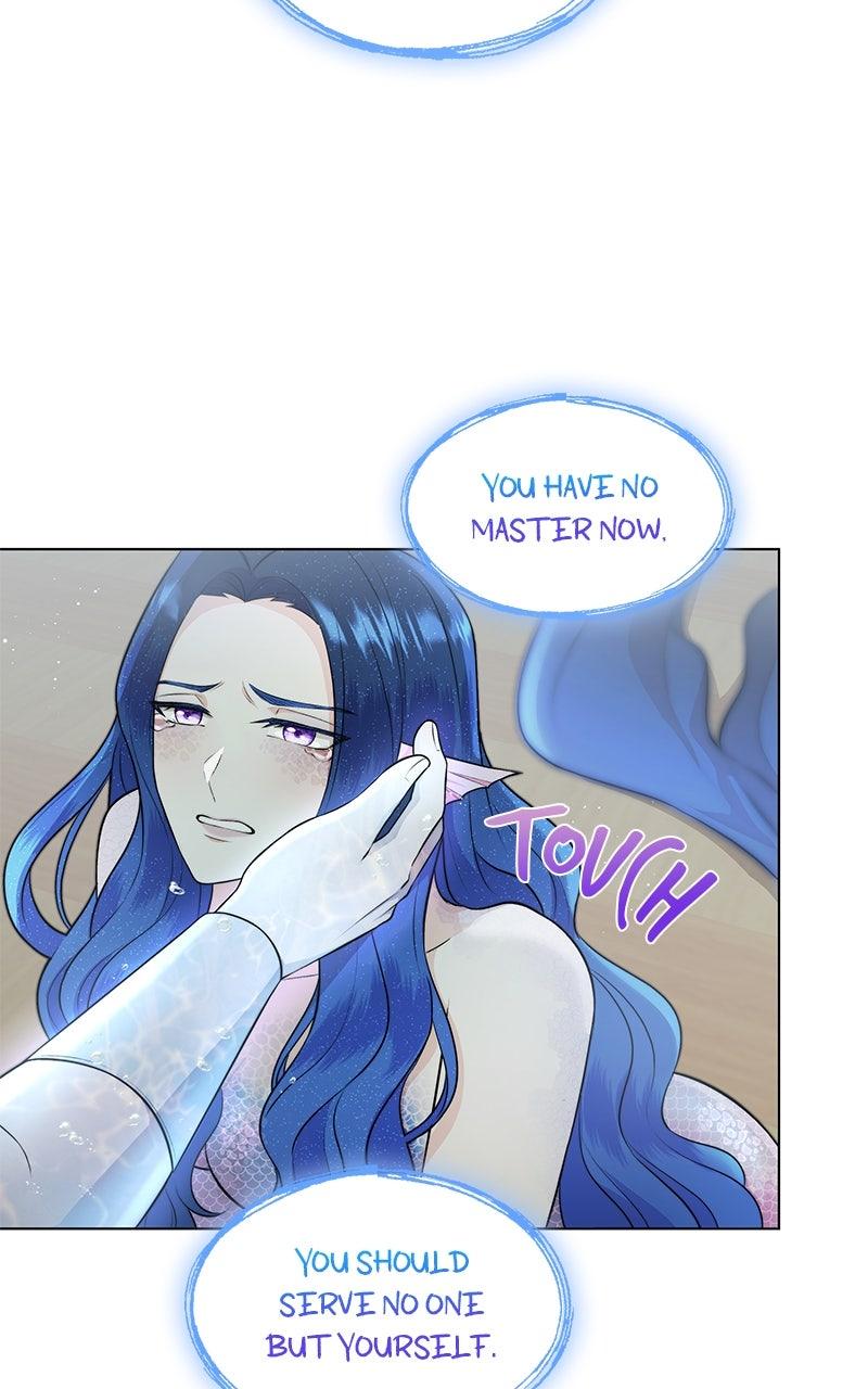 Seabird and the Wolf Chapter 90 page 66 - 