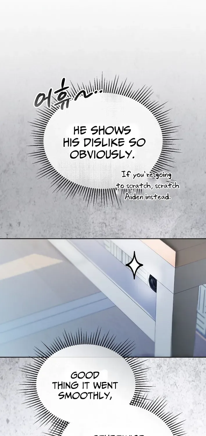 Second Life Idol’s Lucky Plan Chapter 17 page 15 - 