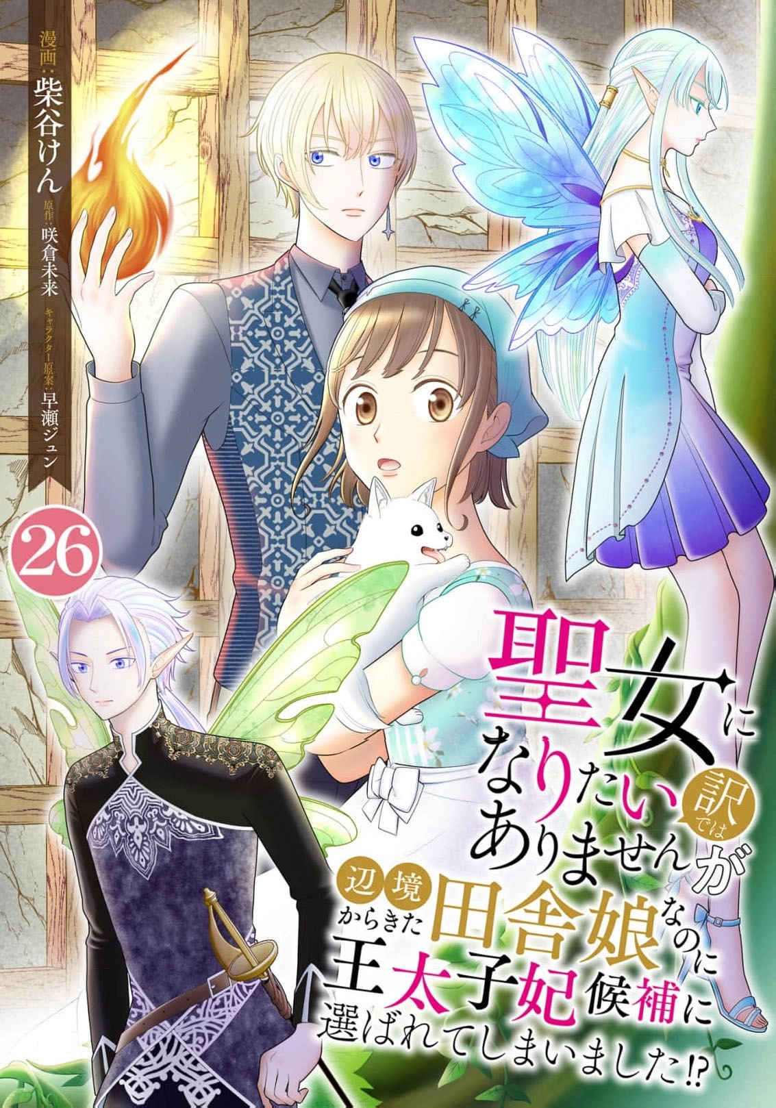 Seijo ni Naritai Wake de wa Arimasen ga Henkyou kara Kita Inaka Musume nanoni Ou Taishi-hi Kouho ni Erabarete Shimaimashita!? Chapter 26 page 2 - 