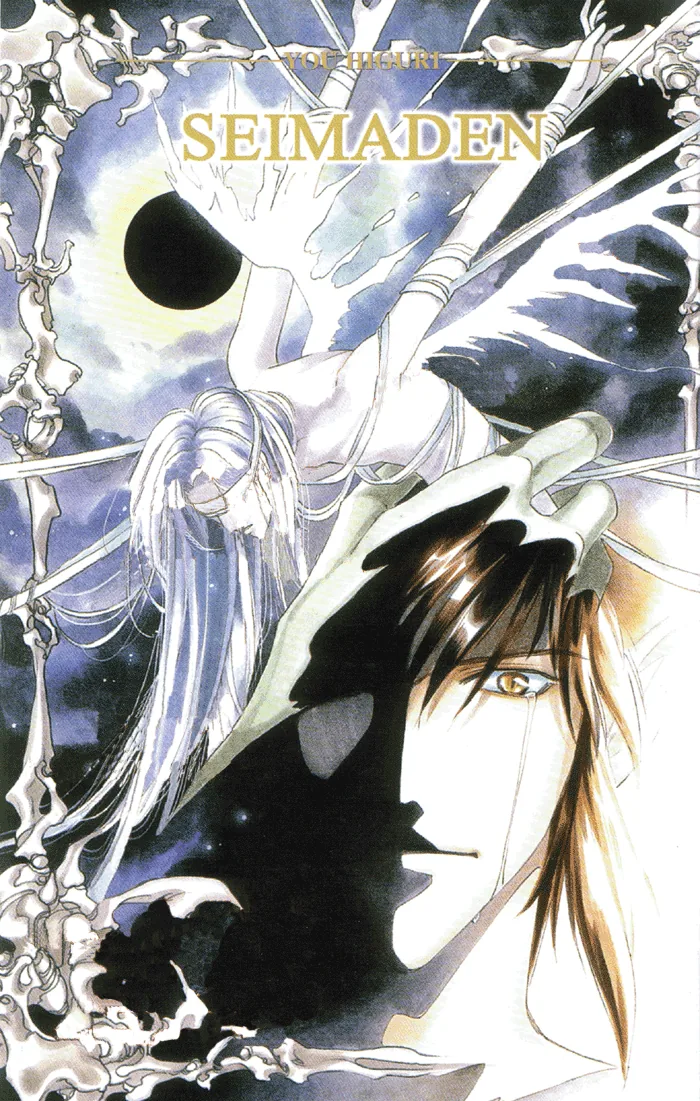 Seimaden Chapter 48 page 3 - 