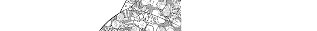 Seirou Opera Chapter 16 page 30 - 