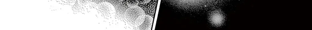 Seirou Opera Chapter 18 page 17 - 