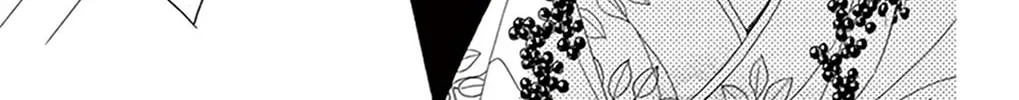 Seirou Opera Chapter 20 page 61 - 