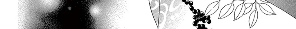 Seirou Opera Chapter 20 page 63 - 