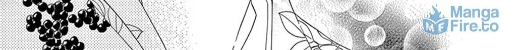 Seirou Opera Chapter 20 page 65 - 