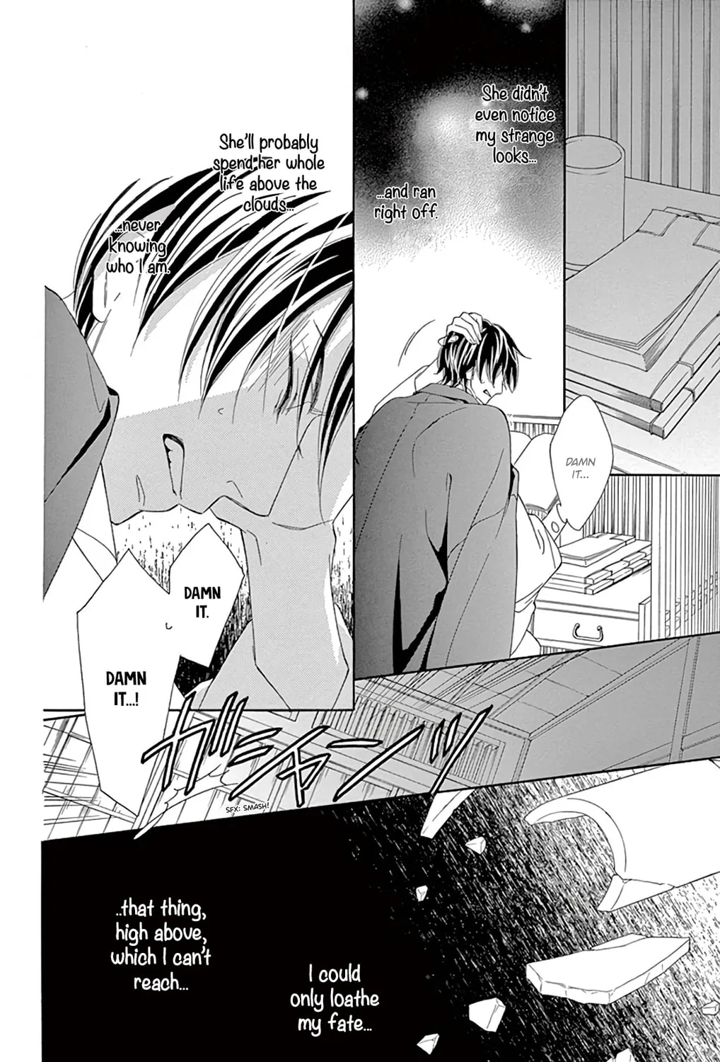 Seirou Opera Chapter 23 page 30 - 