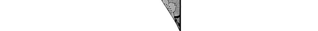 Seirou Opera Chapter 25 page 31 - 
