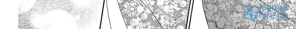 Seirou Opera Chapter 32 page 35 - 