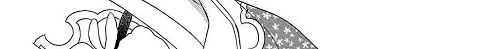 Seirou Opera Chapter 34 page 19 - 