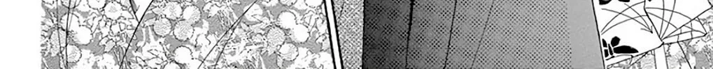 Seirou Opera Chapter 35 page 33 - 