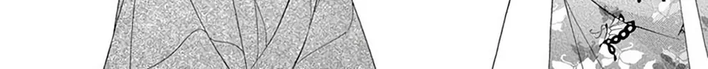 Seirou Opera Chapter 36 page 39 - 