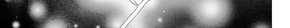 Seirou Opera Chapter 37 page 13 - 