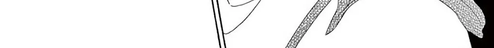 Seirou Opera Chapter 38 page 12 - 