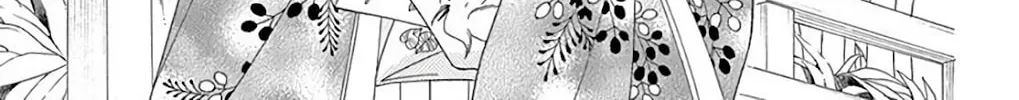 Seirou Opera Chapter 38 page 74 - 