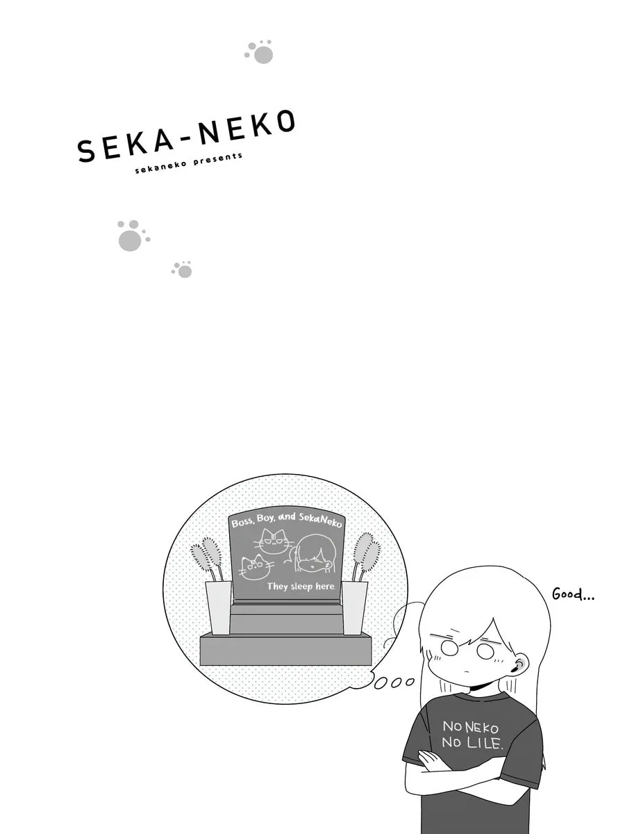 Sekai wo Teki ni Mawashite mo Neko wo Aishiteru Chapter 1 page 13 - 