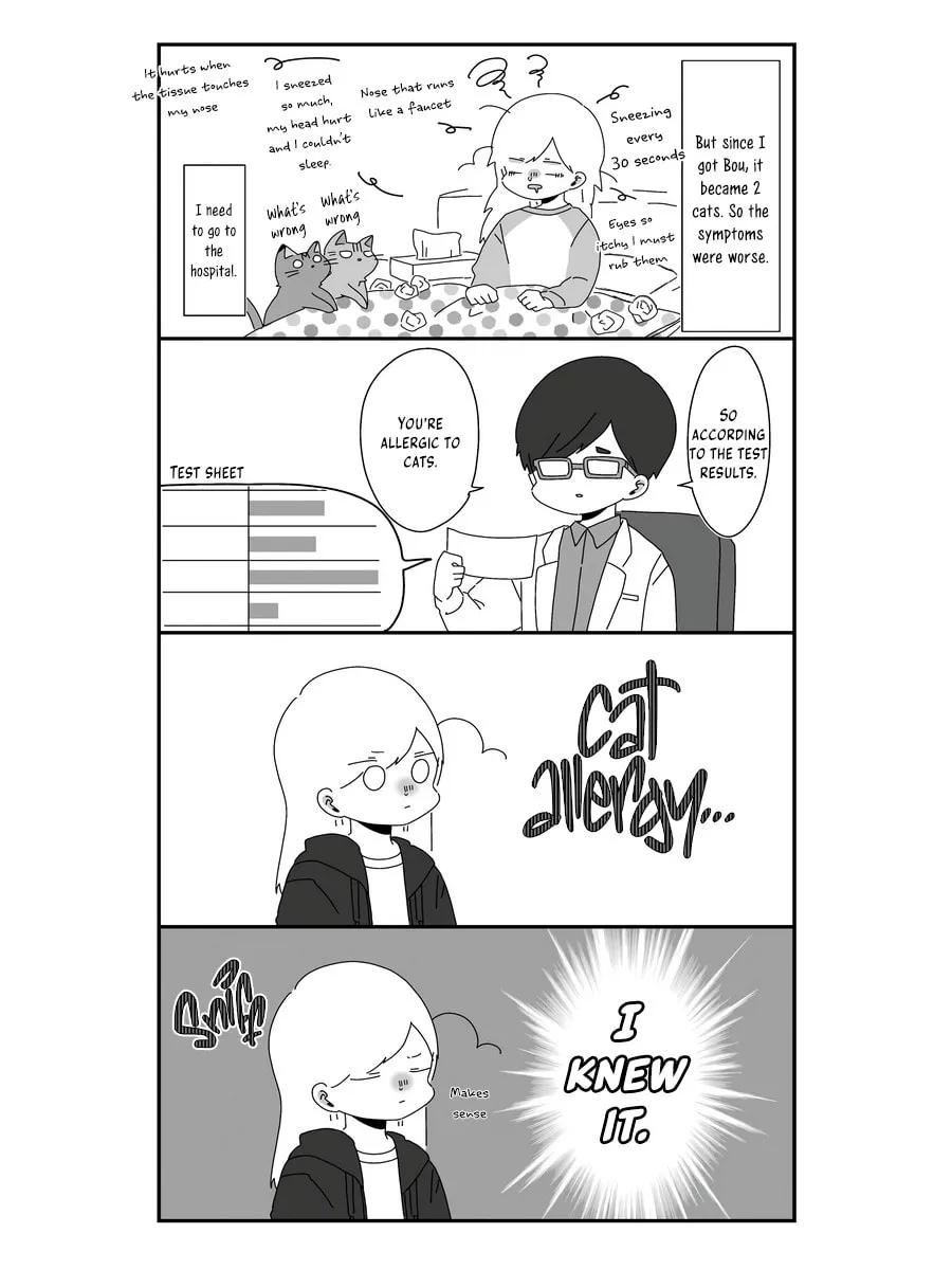 Sekai wo Teki ni Mawashite mo Neko wo Aishiteru Chapter 2 page 4 - 