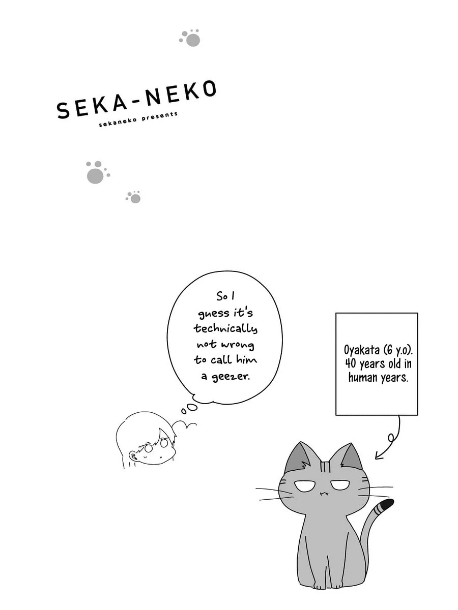 Sekai wo Teki ni Mawashite mo Neko wo Aishiteru Chapter 3 page 23 - 