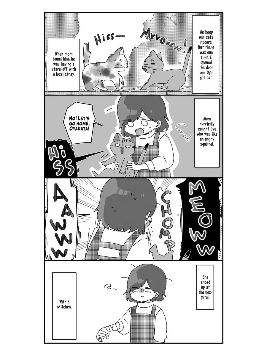 Sekai wo Teki ni Mawashite mo Neko wo Aishiteru Chapter 3 page 4 - 