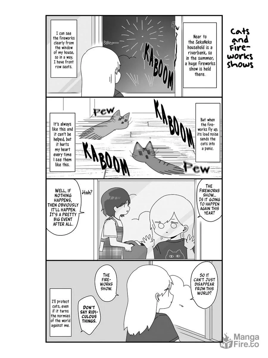 Sekai wo Teki ni Mawashite mo Neko wo Aishiteru Chapter 4 page 18 - 
